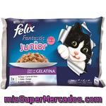 Comida Para Gatos Junior Felix Fantastic Felix 4x100gr
