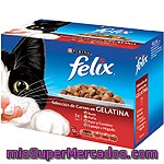 Comida Para Gatos Surtido Felix Pack 12x100 Gr.