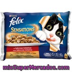 Felix Sensations Alimento Para Gatos En Gelatina Buey Con Tomate 4x100 Gr