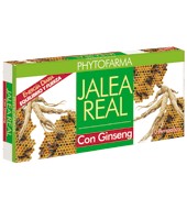 Jalea Real Con Ginseng Ampollas Phytofarma 100 Ml.