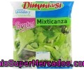 Mixticanza, Surtido Brotes De Batavia Verde Y Roja, Rúcula, Canónigos Y Espinaca Baby Dimmidisi Bolsa De 110 Gramos