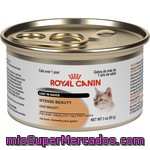 Royal Canin Intense Beauty Alimento Para Gatos Adultos Para La Belleza Del Pelaje Envase 85 G