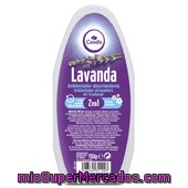 Absorbeolor
            Condis Lavanda 1 Uni