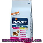 Advance Medium Alimento De Alta Gama Para Perros De + 7 Años De Raza Mediana Rico En Pollo Y Arroz Bolsa 12 Kg