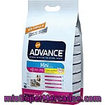 Advance Mini Alimento De Alta Gama Para Perros De Raza Pequeña De + 8 Años Rico En Pollo Y Arroz Bolsa 3 Kg