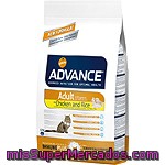 Affinity Advance Adult Alimento De Alta Gama Para Gatos Adultos De 1 A 10 Años Rico En Pollo Y Arroz Bolsa 1,5 Kg