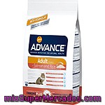 Affinity Advance Adult Alimento De Alta Gama Para Gatos Adultos De 1 A 10 Años Rico En Salmón Y Arroz Bolsa 1,5 Kg