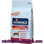 Affinity Advance Adult Alimento De Alta Para Perros De + 1 Año Rico En Cordero Y Arroz Bolsa 12 Kg