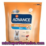 Affinity Advance Duo Salud+sabor Alimento Especial Para Perros Adultos De Raza Mini Con Frutas Del Bosque Bolsa 800 G