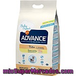 Affinity Advance Kitten Alimento De Alta Gama Para Gatitos Y Hembras Gestantes Rico En Pollo Bolsa 3 Kg