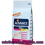 Affinity Advance Maxi Senior Alimento De Alta Gama Para Perros De Raza Grande De + 6 Años Con Pollo Y Arroz Bolsa 15 Kg