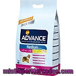 Affinity Advance Medium Senior Alimento De Alta Gama Para Perros De + 7 Años De Raza Mediana Rico En Pollo Y Arroz Bolsa 3 Kg