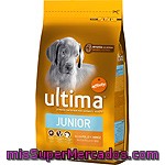 Affinity Ultima Puppy & Junior Rico En Pollo Y Arroz Para Perro Bolsa 1,5 Kg