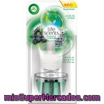 Air Wick Ambientador Eléctrico Aguas Del Bosque Moras Frescas Agua De Rocío Y Flores Silvestres Recambio Fragancia Cambiante