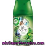 Air Wick Fresh Matic Ambientador Automático Refugio Exuberante Baya Salvaje Agua De Coco Menta Fresca Recambio Fragancia Cambiante