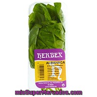 Albahaca Herbex, Bandeja 20 G