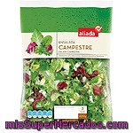 Aliada Ensalada Campestre Bolsa 200 G