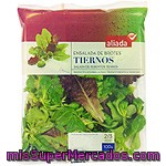 Aliada Ensalada De Brotes Tiernos Bolsa 100 G