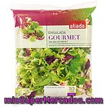 Aliada Ensalada Gourmet Bolsa 175 G