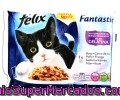 Alimento Completo Para Gatos Adultos Variado(buey,pollo, Salmón Y Atún) Félix 4 Unidades De 100 Gramos