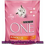 Alimento Completo Para Gatos Junior Rico En Pollo Purina One 1,5 Kilogramos
