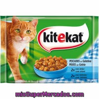 Alimento De Atún-salmón Kitekat, Lata 400 G