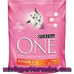 Alimento De Pollo-arroz Gato Junior Purina One, Paquete 450 G