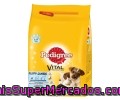 Alimento Seco Para Cachorros Con Pollo Y Arroz Pedigree Vital Saco De 1,4 Kilogramos