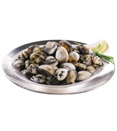 Almeja Marinera 30 Piezas /malla. 500 G.