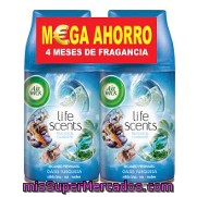 Ambientador Automático Duplo Recambio Fresh Matic Oasis Turquesa Air Wick 2 Ud.