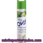 Ambientador Frescor Verde Oust, Spray 300 Ml