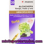 Arkopharma Arkofluido Forte Alcachofa, Hinojo, Mate Y Uva Caja 20 Ampollas Ayuda A Detoxificar Y Perder Peso