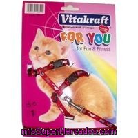 Arnes Gato Junior Vitakraft, Pack 1 Unid.