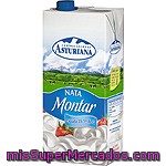 Asturiana Nata Estéril Brik 1l