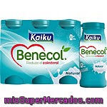 Benecol Beber Natural 6x65ml