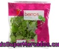 Berros Auchan Bolsa De 125 Gramos