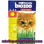 Biozoo Axis Hierba Para Gatos Envase 1 Unidad