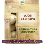 Cachopo Ajo Ecológico Caja 500 G