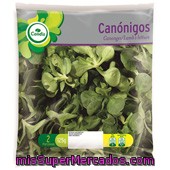 Canonigos
            Condis 125 Grs