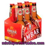 Cerveza Sin Gluten, Ambar, Botellin Pack 6 X 330 Cc - 1980 Cc