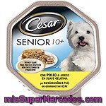 Cesar Alimento Para Perro Sénior Con Pollo Y Arroz Tarrina 150 G