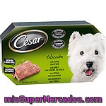 Cesar Selección De Carnes Para Perro Pack 4 Tarrina 150 G