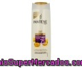 Champú Antiedad Bb7 Pantene 360+40 Mililitros