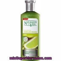 Champú Cabello Graso Naturaleza Y Vida, Bote 300 Ml