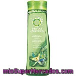 Champú Frescor Purificante Herbal Essence 250 Mililitros