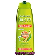 Champú Hidraliso Garnier-fructis 300 Ml.