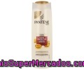 Champú Rizos Perfectos Pantene 360+40 Mililitros