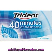 Chicle 40 Minutos Menta Trident 1 Ud.