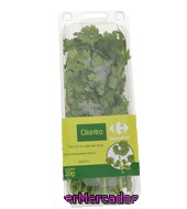 Cilantro Cortado Carrefour Bolsa De 20 G.