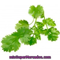 Cilantro Fresco, Varios, Paquete 40 G